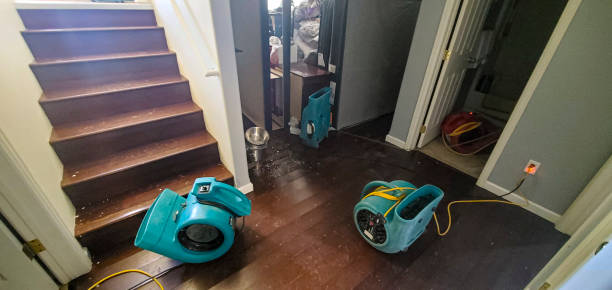 Best Emergency water damage restoration  in Grant Valkaria, FL