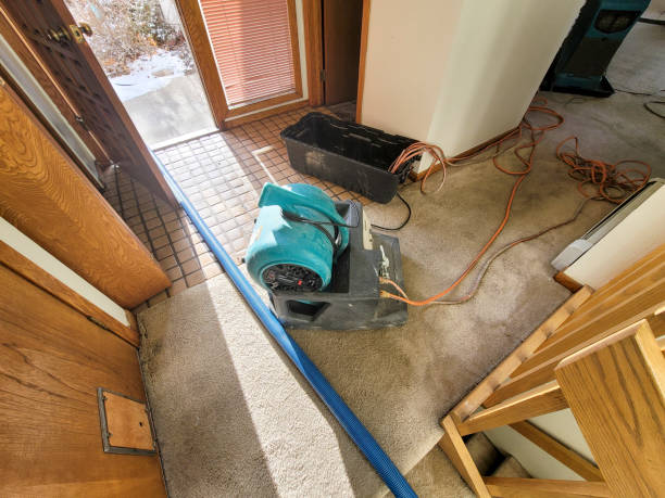 Best Water damage restoration specialists  in Grant Valkaria, FL