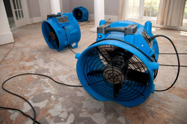 24/7 water damage repair in Grant Valkaria, FL