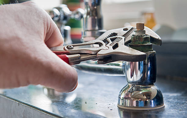 Best Mold removal after water damage  in Grant Valkaria, FL