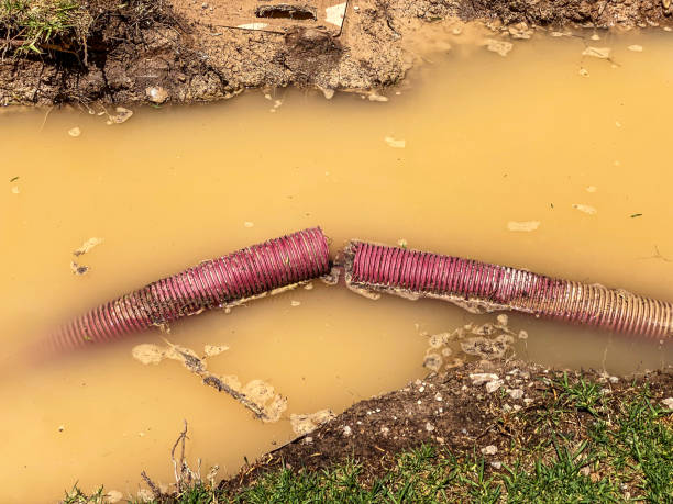 Grant Valkaria, FL Water damage restoration Company