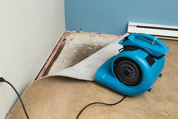 Best Carpet water damage restoration  in Grant Valkaria, FL